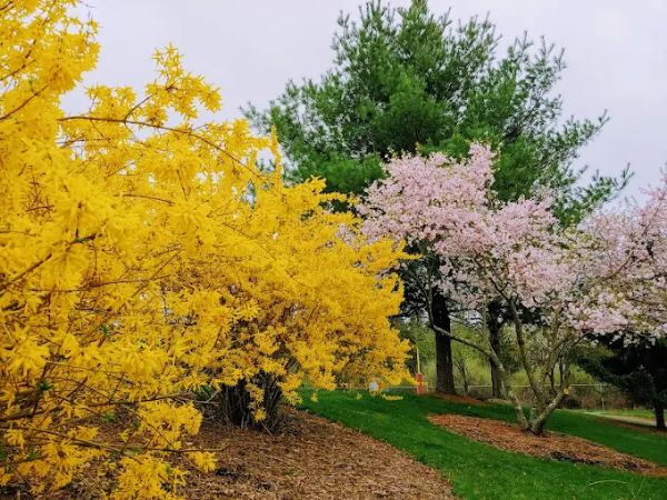 Ann Van Middlesworth Park