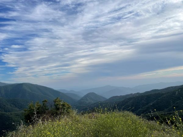 Scenic Drop Platform