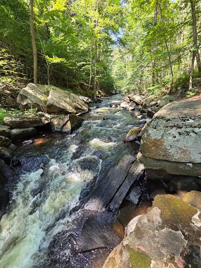 Black River Park/Kay Env. C