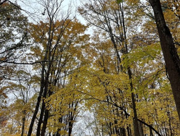 State Game Lands Number 209