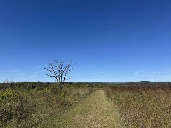Dagmar Dale Loop Trail
