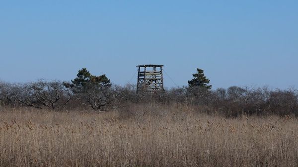 JFK Wildlife Sanctuary