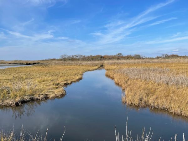 JFK Wildlife Sanctuary