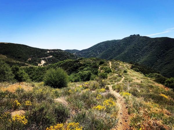 Pacific Crest Trail (Lake Hughes Crossing)