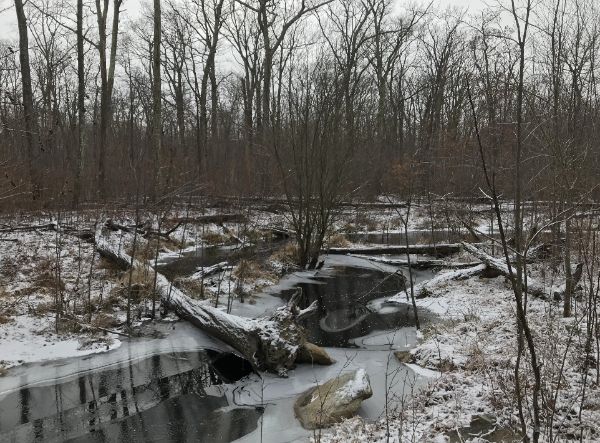 Bear Swamp Wildlife Management Area