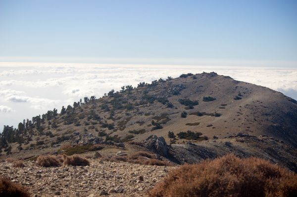 Mount Baldy Summit