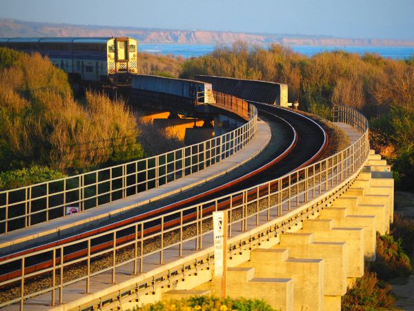 Trestles Wetlands Nature Nature Preserve
