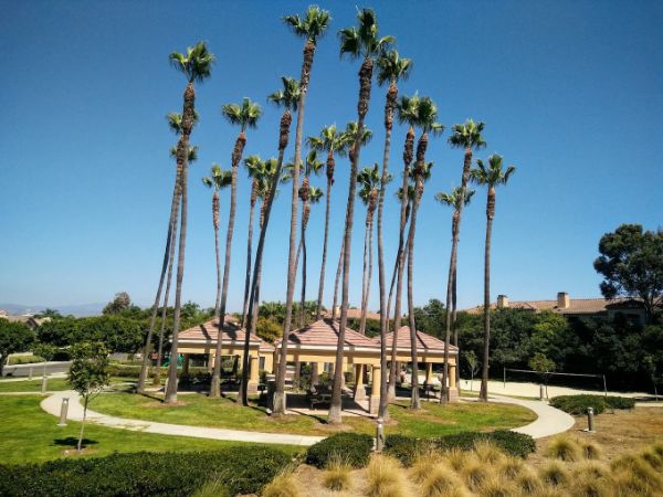 Santa Ynez Park