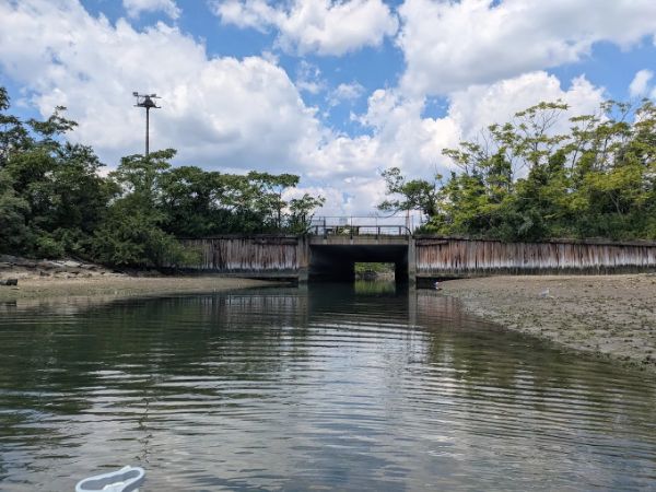 Seagirt Avenue Wetlands