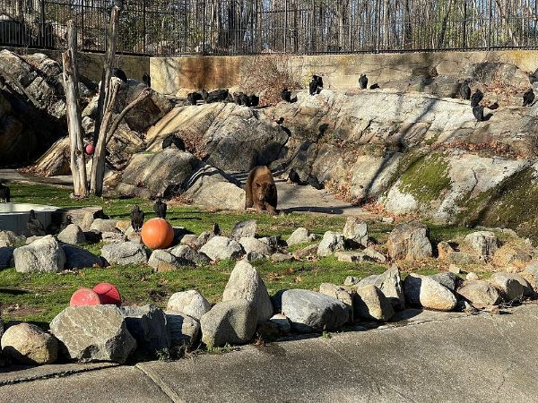 Beaver Exhibit - Trailside Zoo