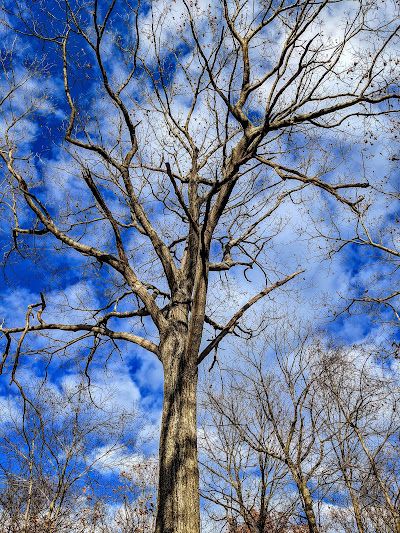 Nimham Mountain Multiple Use Area