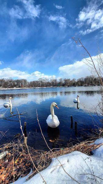 Reverend Arthur Mackey Park