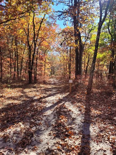 Bunker Hill Bogs Recreation Area