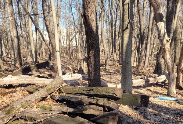 West Essex Park Conservancy