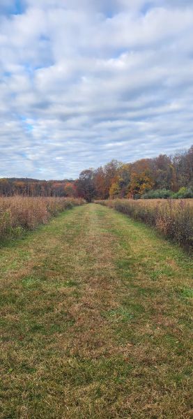 Teetertown Ravine Nature Preserve