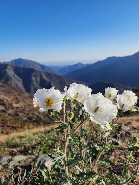 Inspiration Point Trailhead
