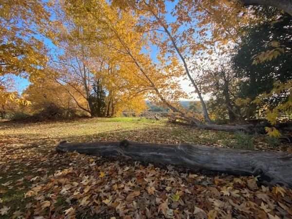 Playground at Caspers Wilderness Park