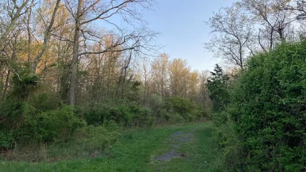 Cherry Brook preserve