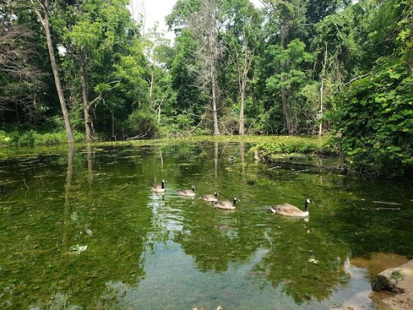 Hoyt Farm Nature Preserve