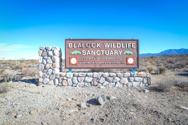 Blalock Wildlife Sanctuary