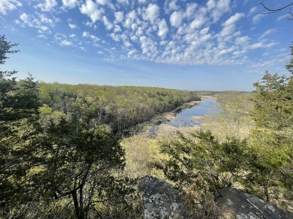 Johnsonburg Swamp Preserve - The Nature Conservancy