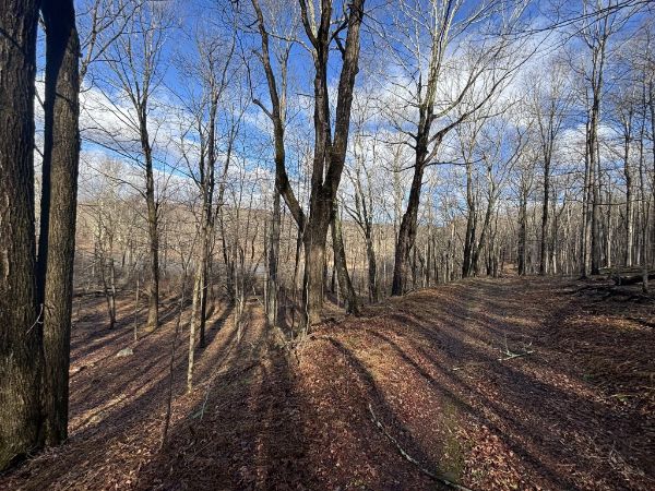 Huckleberry Ridge State Forest