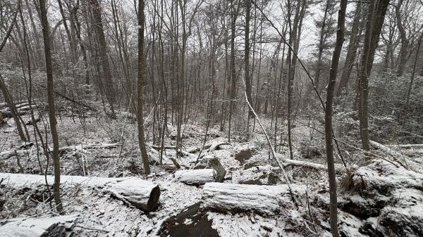 Arden Surebridge Trail (red markers)