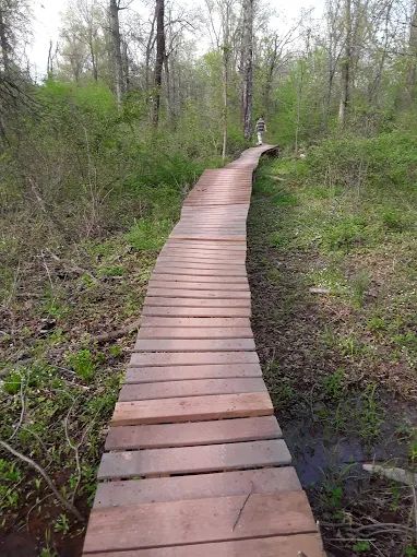 Six Mile Run State Park