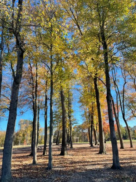 Linwood Fields at Pop’s Farm Market