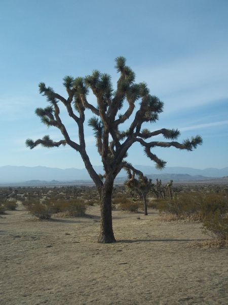 Carl O Gerhardy Wildlife Sanctuary
