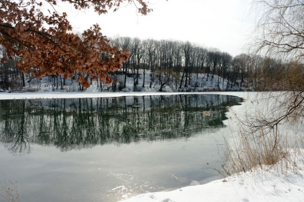 Alley Pond Park
