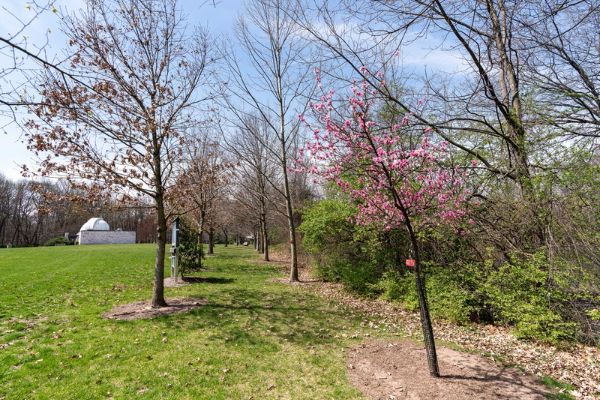 Historic Tree Grove & Arboretum