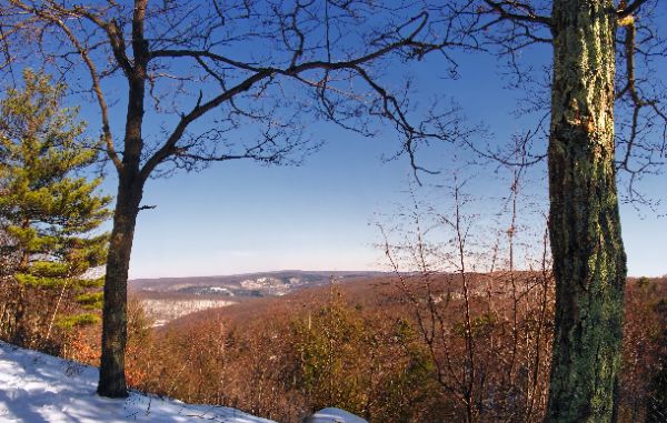 Delaware State Forest - Stairway Wild Area