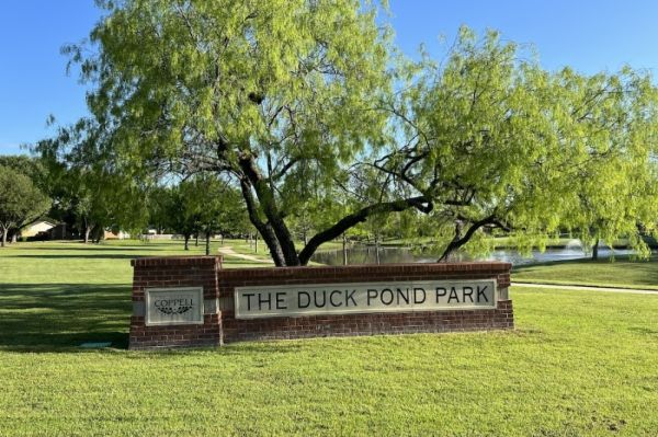 Duck Pond Park - Fishing Place