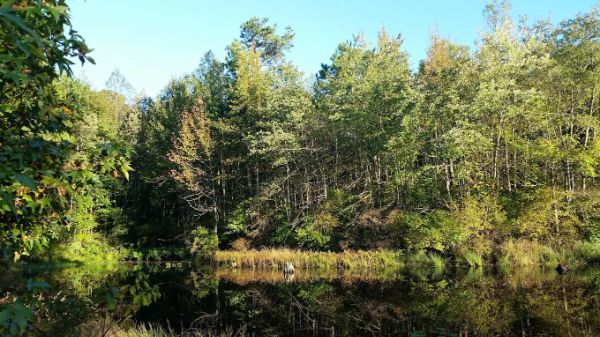 Manasquan River Linear Park