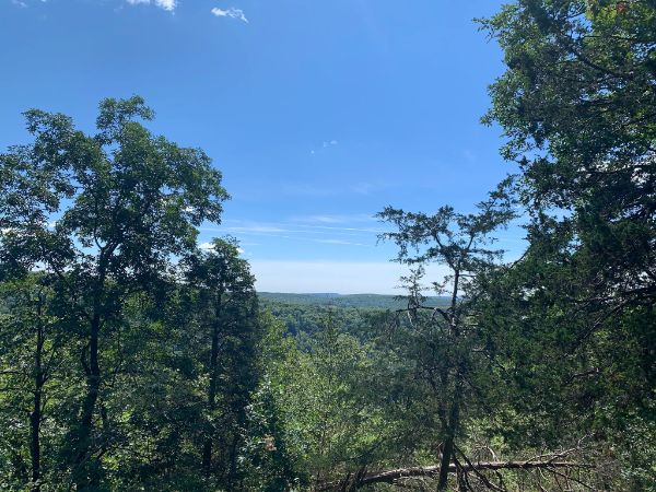 Rockaway River State Wildlife Management Area