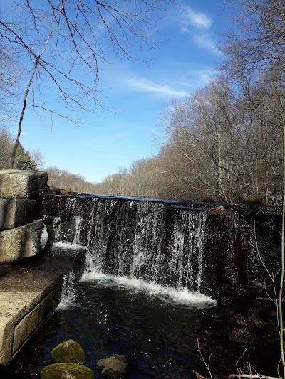 Woodcock Nature Center
