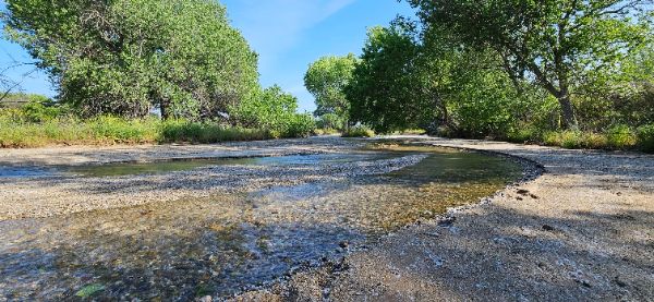 San Francisquito Creek Trail