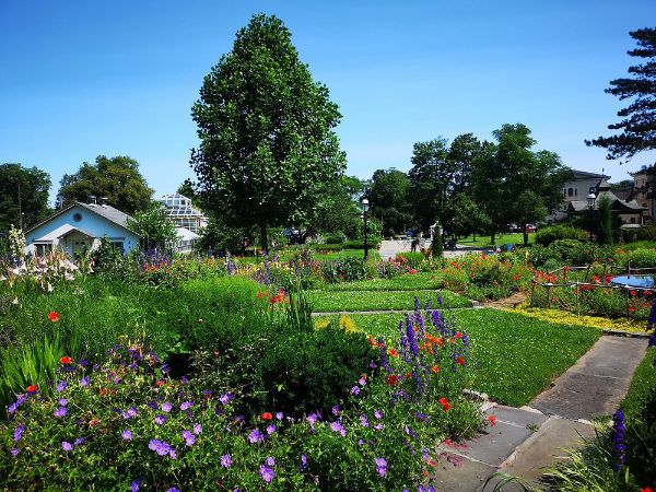 New York Chinese Scholars Garden