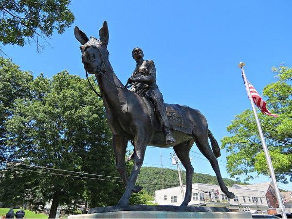 Hannibal the West Point Mule