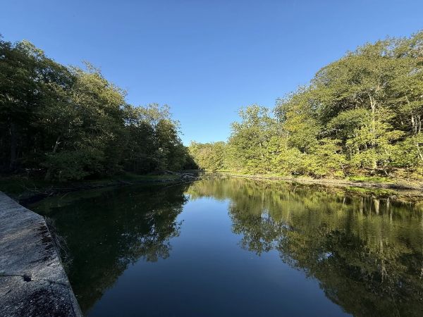 Sunny Ridge Preserve