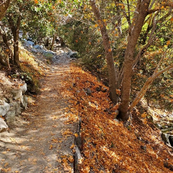 Icehouse Canyon Trailhead