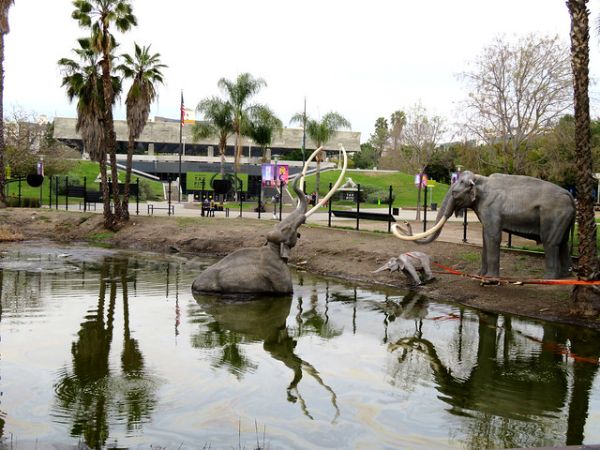 La Brea Tar Pits and Museum