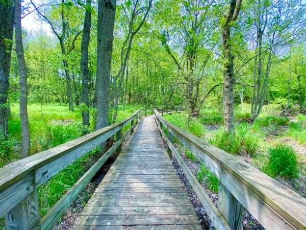 Black River Wildlife Management Area