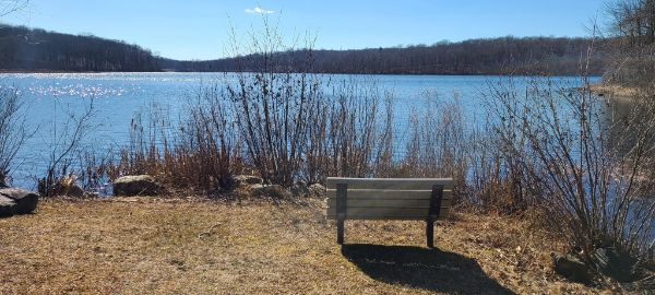 East Swamp Wildlife Management Area