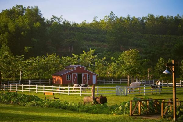 Queens County Farm Museum