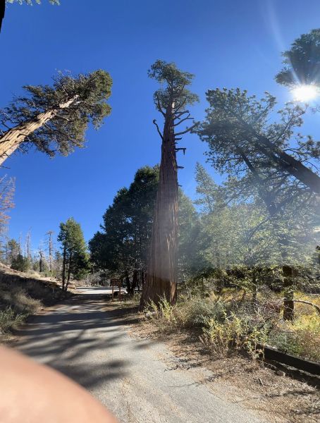 Burkhart Trail to Cooper Canyon Falls