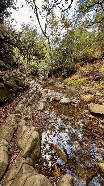 Black Star Canyon Wilderness Park