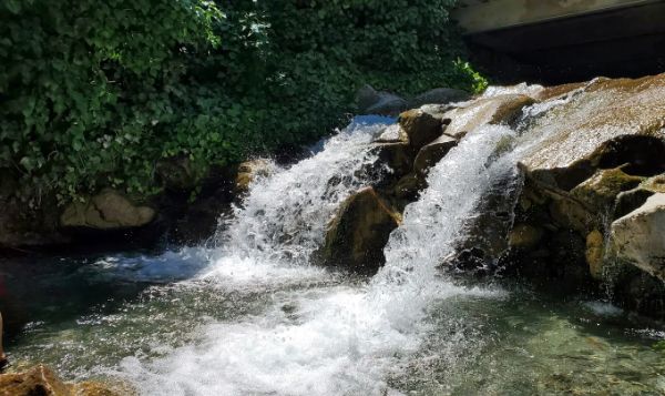 Applewhite Picnic Area