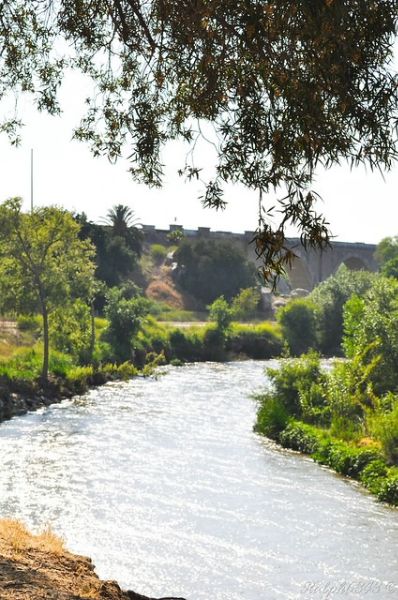 Martha McLean-Anza Narrows Park